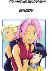 Houkouken